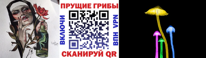 Галлюциногенные грибы прущие грибы  Купить где  Новое Девяткино 